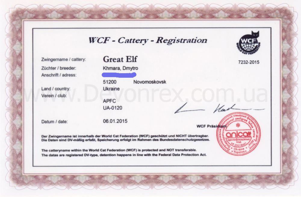 <strong>Регистрационный сертификат WCF</strong> питомника <strong>Great Elf</strong> девон рекс